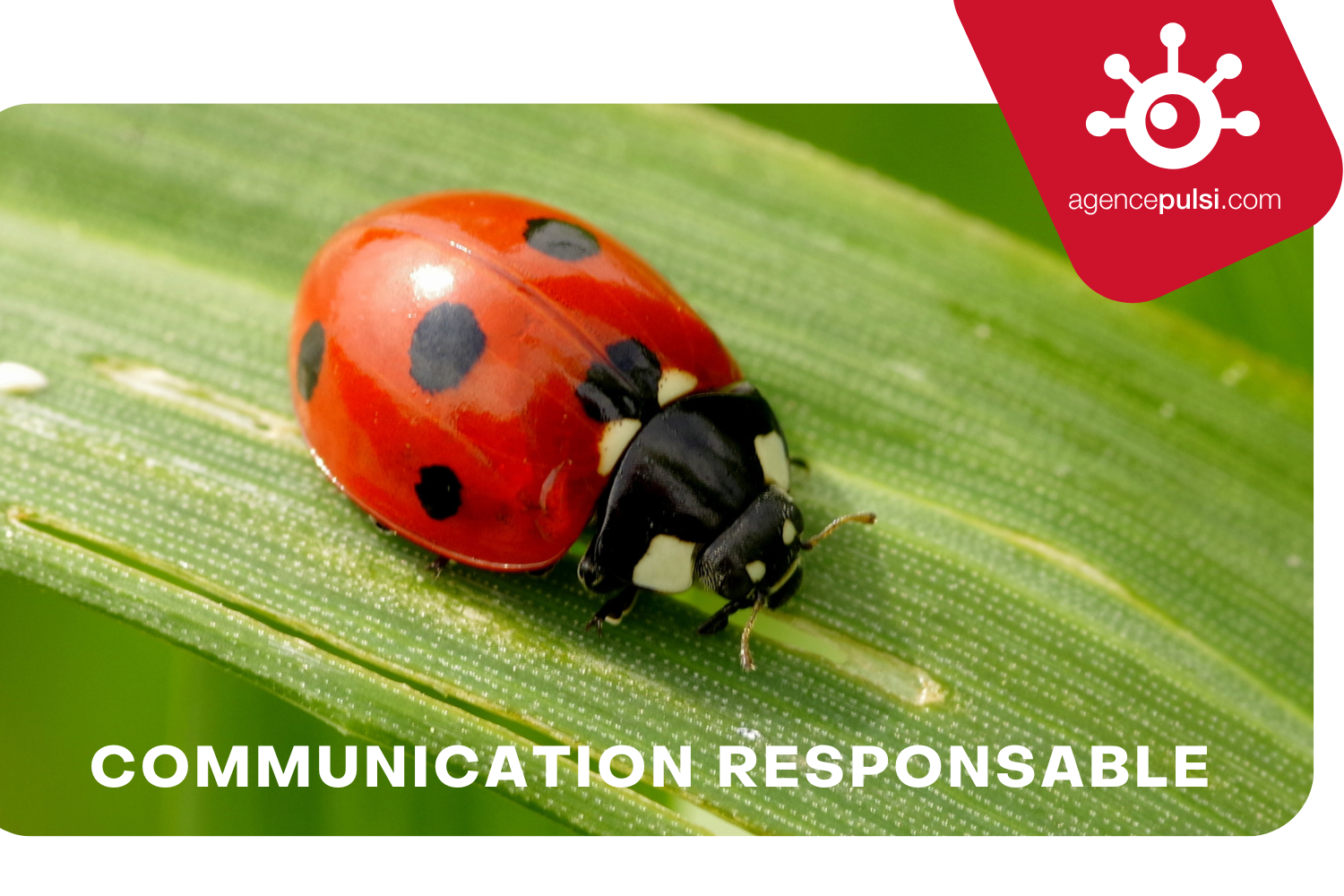Communication responsable Vite ! Il ya le feu !